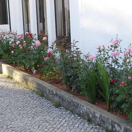 Irmãs Dominicanas - By Flagworld 3* Fatima